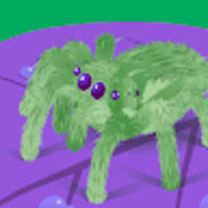 Meet your Posher, Krystal